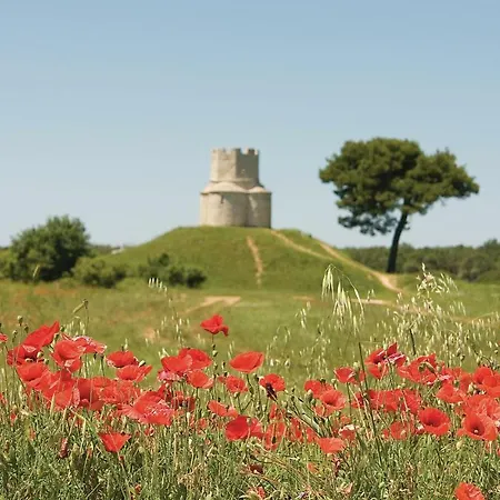 Mlasina-6 By Interhome Apartment *