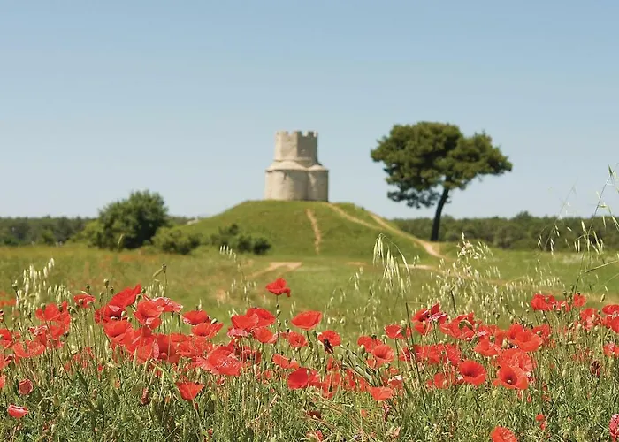 Mlasina-6 By Interhome 公寓 *